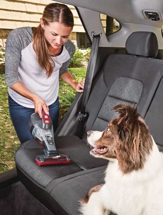 Woman using a handheld vacuum to clean the backseat of a car while a dog watches.