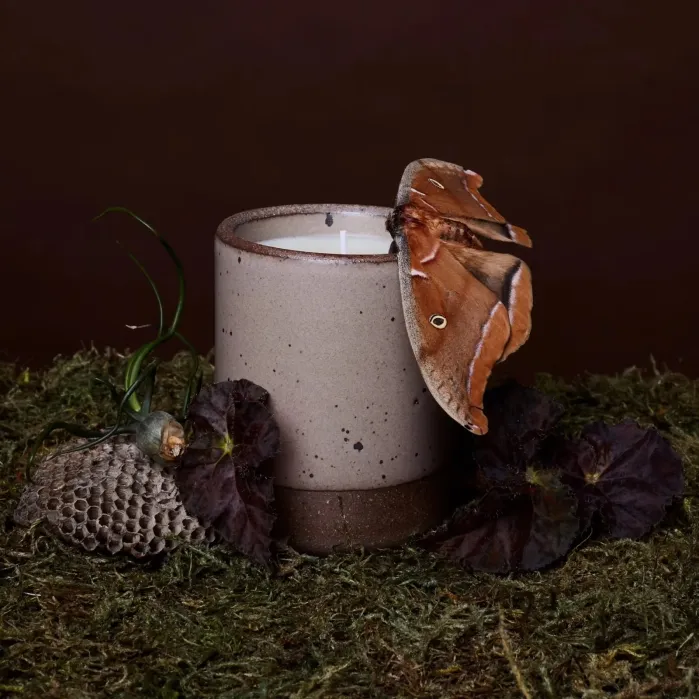 A speckled ceramic candle sits on moss next to dark leaves, a wasp nest, and a large brown moth resting on the candle rim.