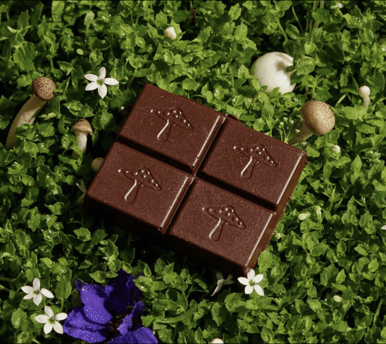 A chocolate bar with mushroom designs lies on green foliage, surrounded by small mushrooms and white flowers.