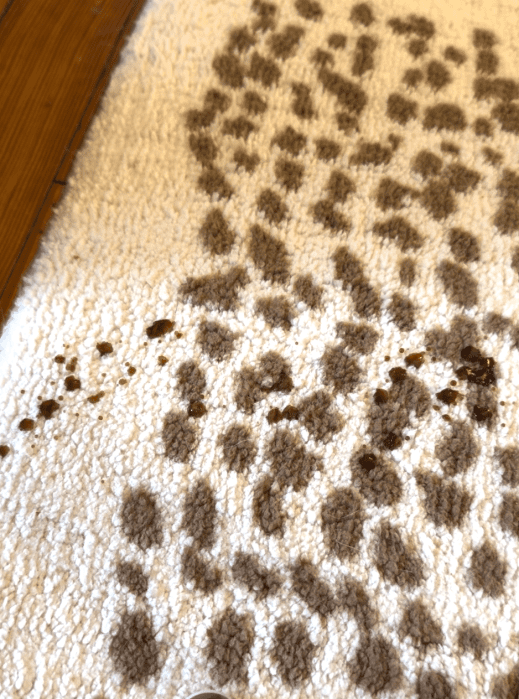 Close-up of a white carpet with brown stains and a spotted pattern, some stains appearing wet or recently spilled.