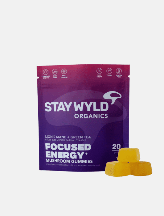 A purple pouch of Stay Wyld Organics Lion’s Mane + Green Tea mushroom gummies with three yellow gummy supplements in front.