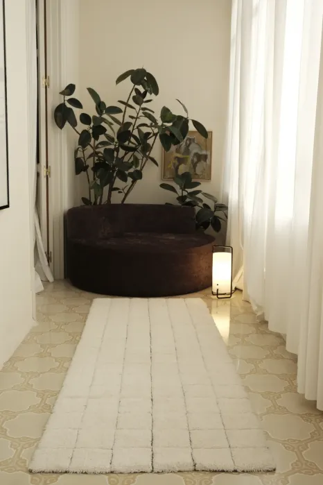 A dark, curved sofa sits in a corner behind a long white rug, with a large potted plant and a floor lamp nearby.