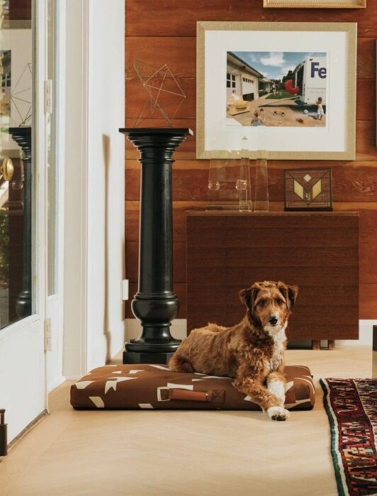 A brown and white dog lies on a patterned dog bed in a living room with wood walls, framed art, patterned sofa, and rugs.