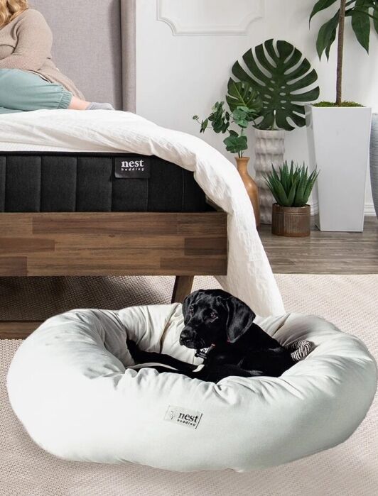 A man and woman sit on a bed with white bedding, while a black dog rests in a round dog bed on the floor in a modern, bright bedroom.