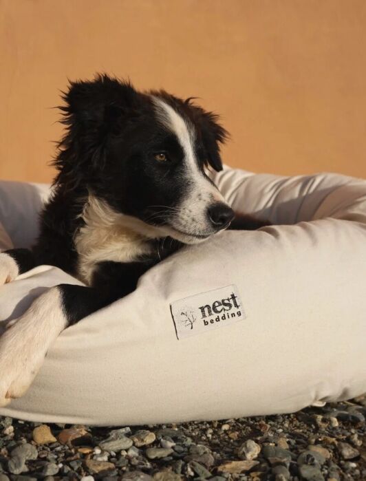 Black and white dog lying in a white Nest Bedding pet bed on a gravel surface, looking to the side.
