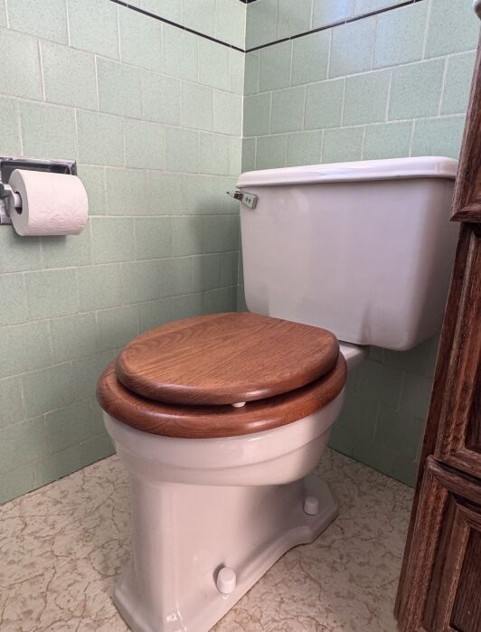 White toilet with a closed wooden seat and lid, next to a toilet paper roll, set against green tiled walls and a beige patterned floor.