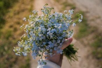 julia-zyablova-SySGB7Exnys-unsplash