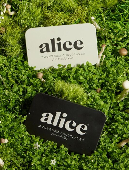 Two rectangular tins labeled "alice Mushroom Chocolates" rest on dense, green foliage. One tin is white with "for clarity" written on it, and the other is black with "for nightcap" written on it.