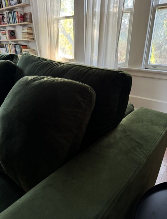 A green couch in a sunlit room with bookshelves and sheer curtains in the background.