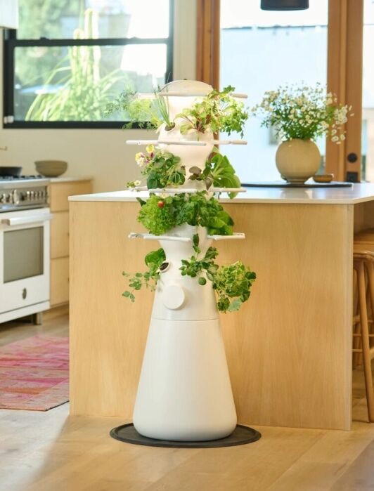 Indoor vertical garden from Lettuce Grow.