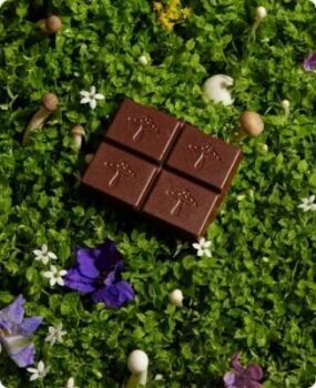 A chocolate bar with mushroom designs rests on green foliage, surrounded by small flowers and miniature mushrooms.