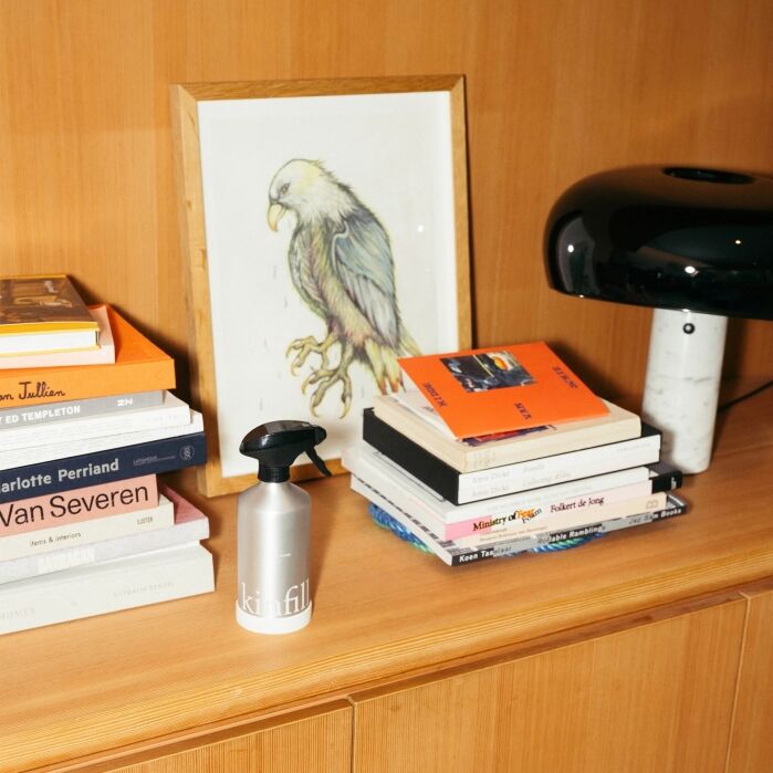 A framed bird illustration, a black lamp, stacked books, and a metal spray bottle are arranged on a wooden shelf.