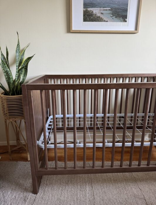 A wooden crib with a bare metal spring base stands next to a potted snake plant and a framed picture on a beige wall.