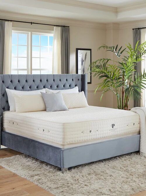 A modern bedroom features a tufted bed with white bedding, a side table with a lamp and flowers, artwork on the walls, a large plant, and windows with gray curtains.