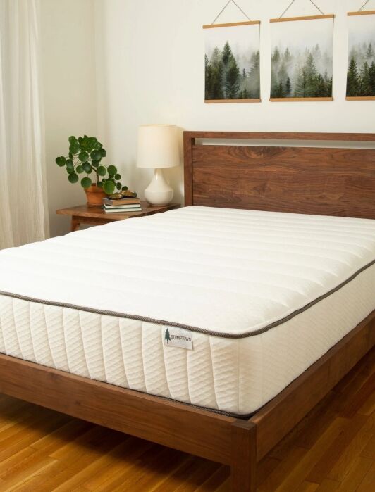 A neatly made bed with a white mattress in a wooden frame, next to a nightstand with a lamp and plant, in a bright room with wood flooring and forest artwork on the wall.
