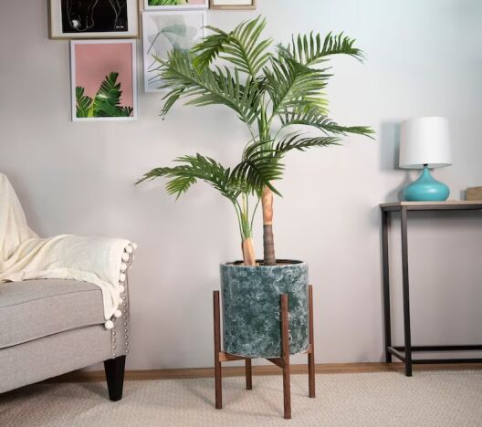 A potted palm plant in a green pot with wooden stand sits next to a gray sofa, near a table with a lamp and a wall featuring framed botanical art.