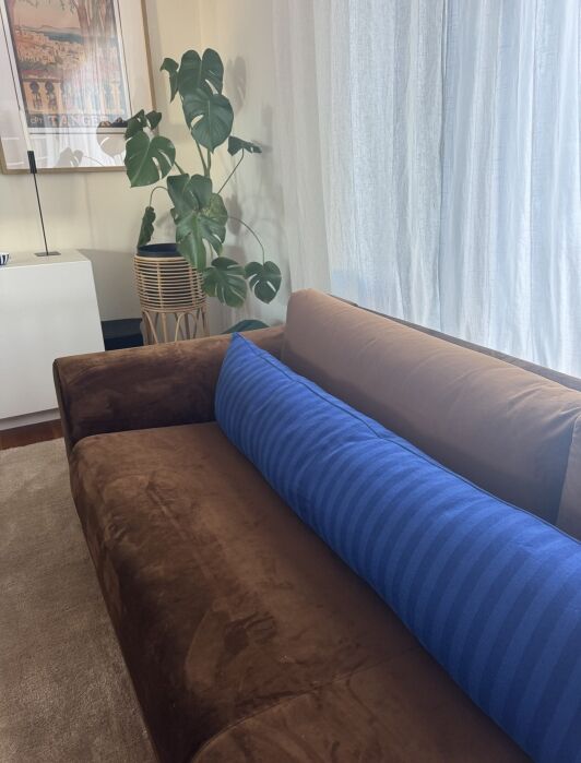 A brown velvet sofa with a long blue striped pillow sits next to a potted plant and a white curtain in a bright living room.
