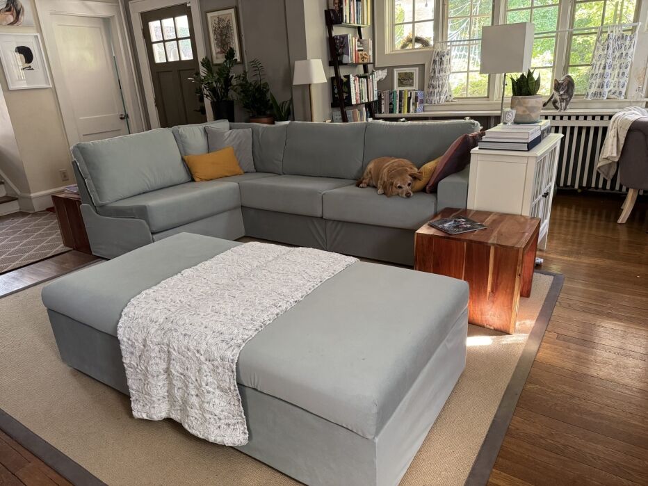 A living room with a gray sectional sofa, a tan dog lying on it, a large ottoman with a blanket, wood floors, bookshelves, and a cat sitting on a radiator near windows.