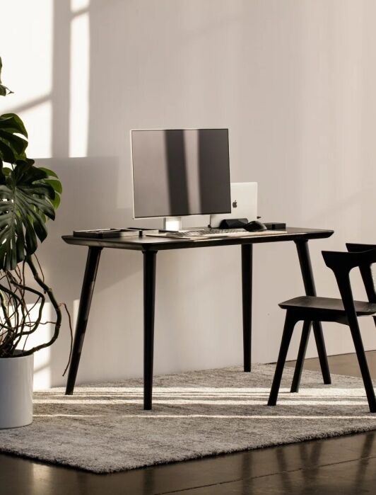 Minimalist workspace with a black desk, monitor, keyboard, and chair on a light rug. Large potted plant stands to the left; sunlight streams through a window onto the floor.