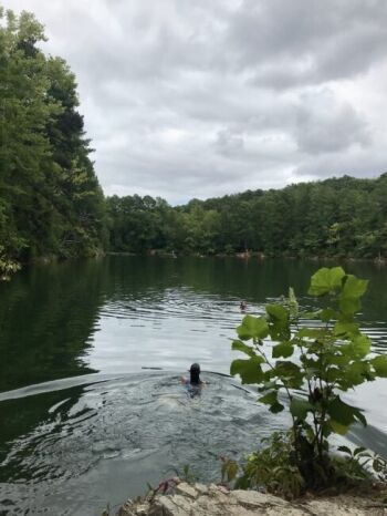A person swims in a calm, tree-lined lake under a cloudy sky, with green foliage in the foreground and forest in the background.