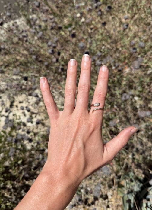 A hand with a simple gold ring is extended against a blurred outdoor background with grass and small plants.