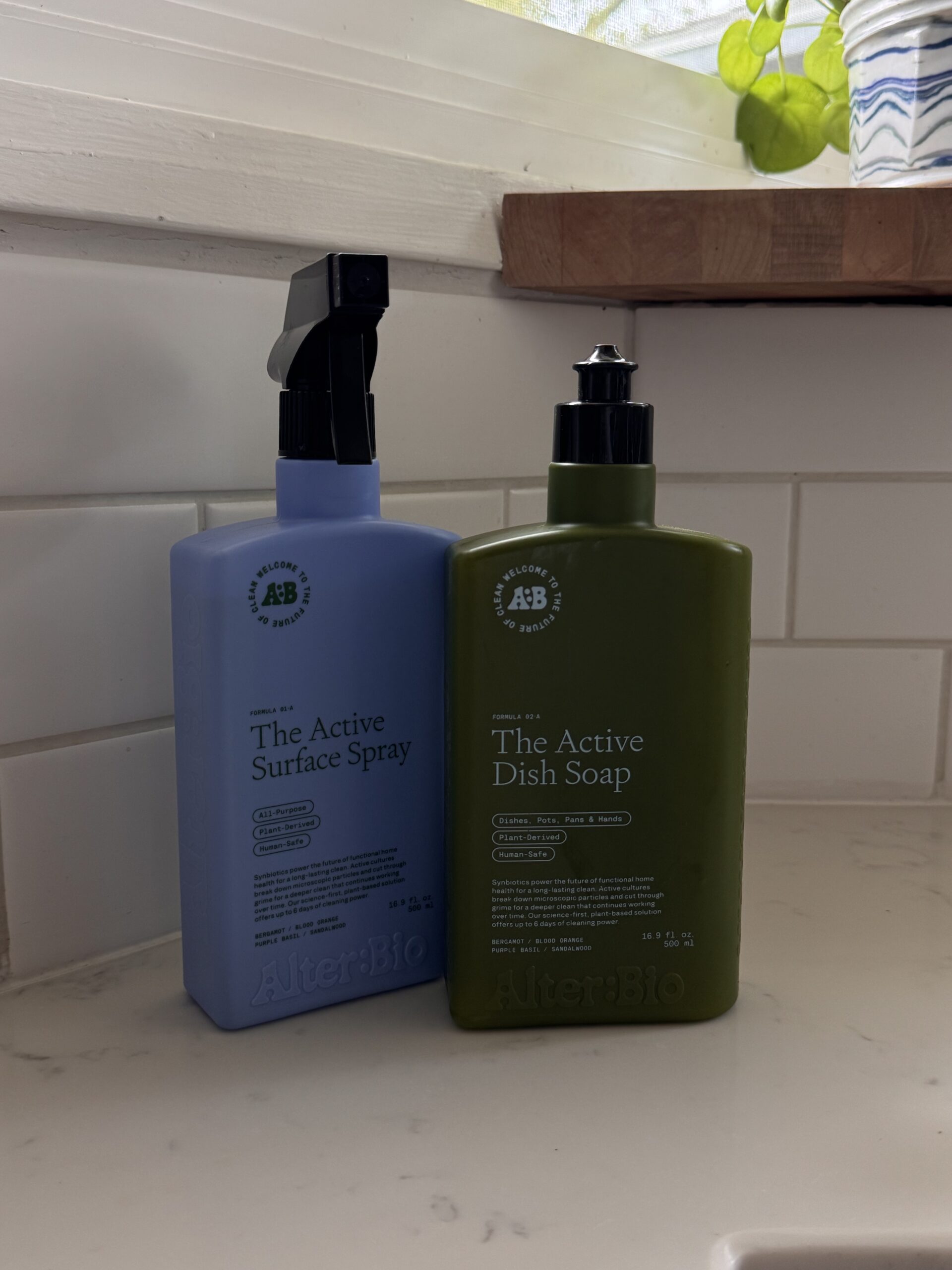 Two bottles labeled "The Active Surface Spray" and "The Active Dish Soap" sit on a white countertop near a window with a plant and a striped cup on a wooden shelf above them.