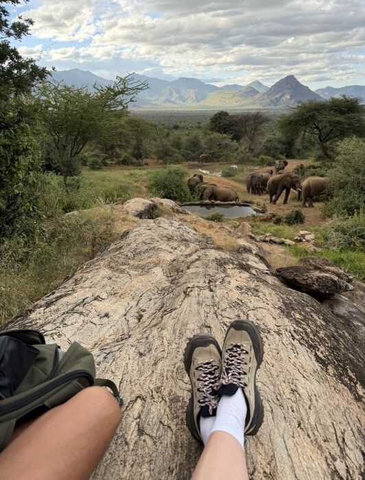 Person sitting on a rock with hiking boots, overlooking a group of elephants near a waterhole in a lush, mountainous landscape.