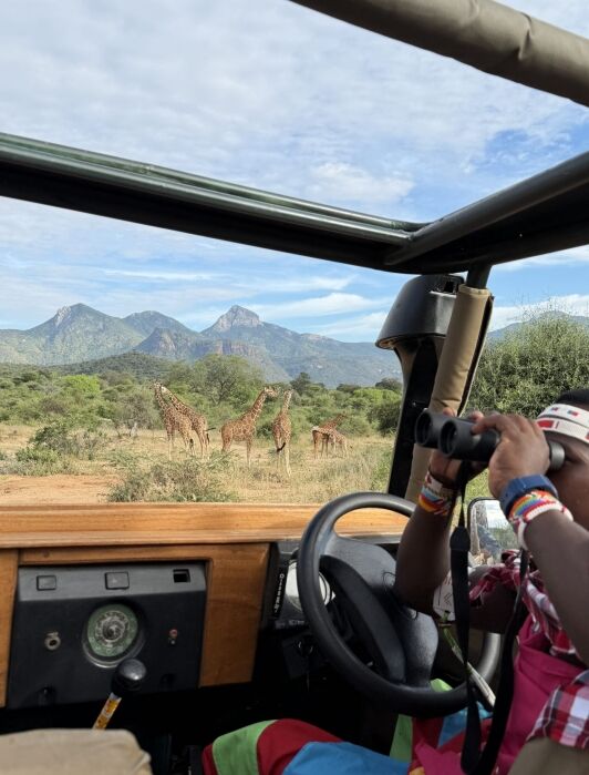 A person uses binoculars in a safari vehicle while looking at a group of giraffes standing on grassy terrain with mountains in the background.