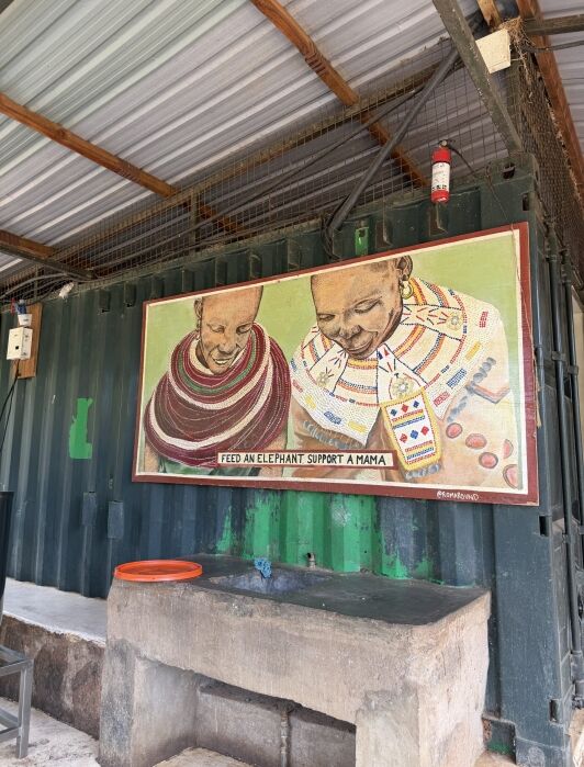 A mural of two smiling women in traditional attire with the text “Feed an elephant, support a mama” painted on a dark green wall under a corrugated metal roof.