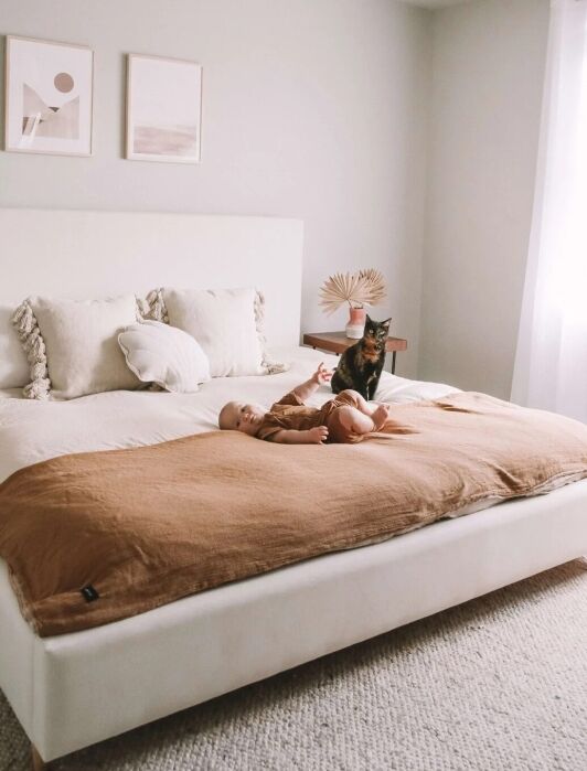 A baby lies on a bed with tan bedding in a bright room; a cat sits beside the baby.