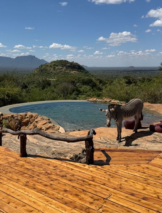 A zebra stands near a round infinity pool on a wooden deck overlooking a hilly, green landscape under a partly cloudy sky.