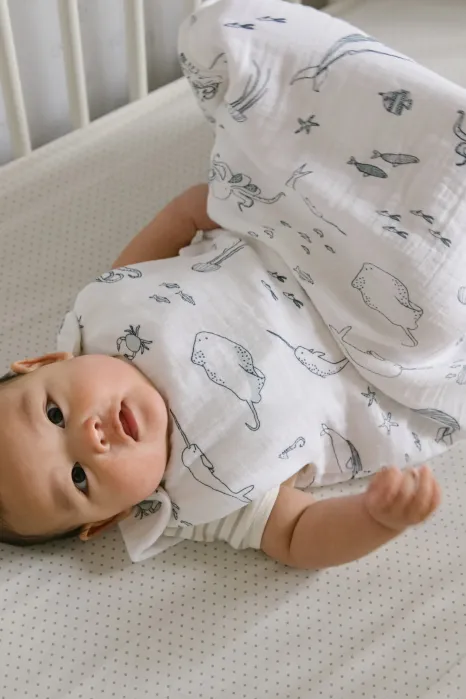 Baby lying on a dotted crib sheet, wearing a white sleep sack with sea creature illustrations, looking up at the camera.